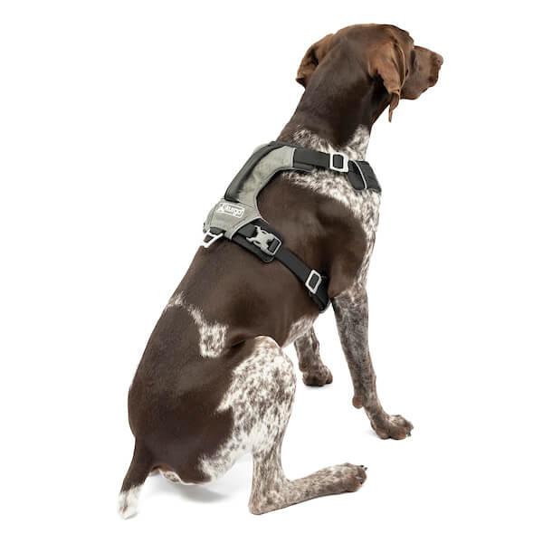 Kurgo Journey Air Harness Schwarz Gr. XS Kurgo Journey Air Harness Schwarz Gr. XS